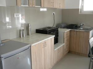 Apartment Srebrni oblak的厨房或小厨房