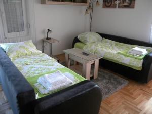 阿然德洛维克Apartment Srebrni oblak的有两张沙发和一张桌子的客厅