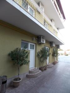 a row of potted trees on the side of a building at Pensiune Xe-Mar in Arad