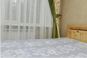 a bedroom with a bed with a curtain and a window at Apartment on Pichugina in Karagandy