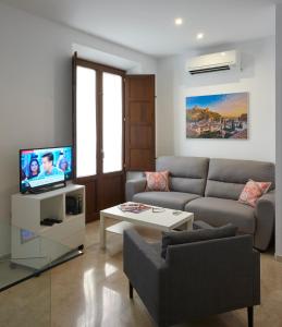 een woonkamer met een bank en een tv bij Apartamento El Duque in Granada