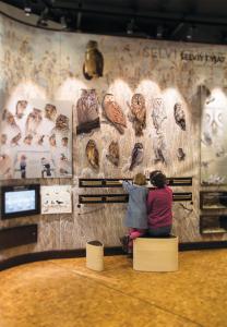 a woman and child looking at a display in a museum at Hotelli Liminganlahti in Liminka