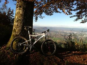 Ciclismo en B&B Stein am Rhein o alrededores