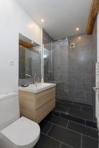 La salle de bains est pourvue de toilettes blanches et d'un lavabo. dans l'établissement L'Argenterie, Apparts de charme climatisé parking gratuit, à Montpellier