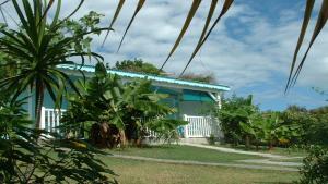 a blue house with a palm tree in front of it at Bungalow cocodile in Sainte-Anne
