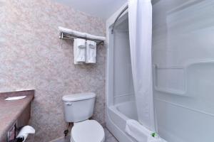 ein Badezimmer mit einem WC und einer Badewanne in der Unterkunft Lexington Inn & Suites-Windsor in Windsor