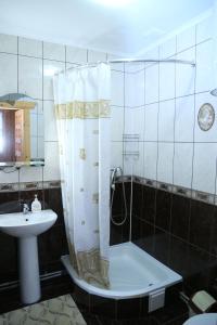 a bathroom with a shower and a sink at Zatyshok v Karpatah in Vorokhta