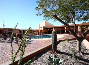 a cactus in front of a building with a pool at Hotel Gandara in Hermosillo