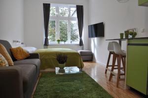 TV a/nebo společenská místnost v ubytování Studio Apartments City&style