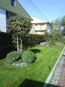 einen Hof mit einem kleinen Baum im Gras in der Unterkunft Hotel Eden in Orbassano