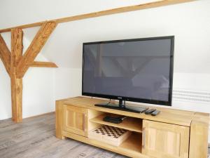 telewizor z płaskim ekranem siedzący na drewnianej szafce w obiekcie Ferienhaus Am Skihang w mieście Altenberg
