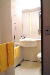 a bathroom with a sink and a toilet and a mirror at Hotel Kodama in Yamanouchi