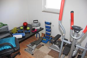 Fitness centrum a/nebo fitness zařízení v ubytování Ema Holiday Home