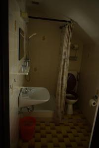 a bathroom with a sink and a toilet at Rooms Vila Mautner in Vodice