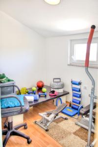 Fitness centrum a/nebo fitness zařízení v ubytování Ema Holiday Home