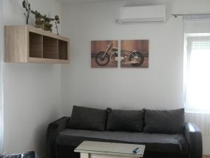 Apartment Srebrni oblak的休息区