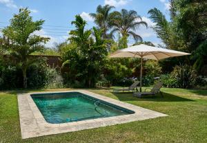 a swimming pool with an umbrella and a chair at Kingsmead Guest House in Harare