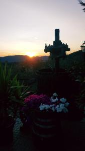 un giardino con fontana e fiori al tramonto di Agriturismo La Casuccia a Castelfranco di Sopra