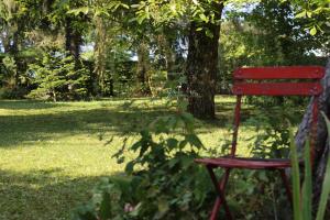 a red chair sitting in the grass under a tree at La Sapinière de Vittel in Vittel