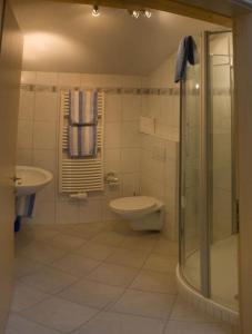 ein Bad mit einem WC, einem Waschbecken und einer Dusche in der Unterkunft Haus Lowe in Filzmoos