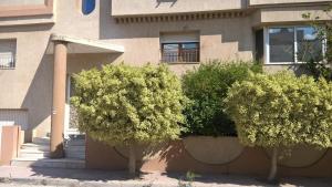 チュニスにあるDar Aloulouの建物前二本