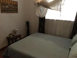 sypialnia z łóżkiem obok okna w obiekcie Tabonina Guesthouse w mieście Livingstone