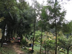 Zahrada ubytování Shan Hu Lian Homestay