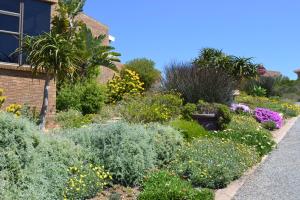 un jardín con flores y plantas frente a una casa en Swallows Nest, en Stilbaai