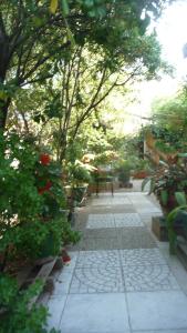 ein Gartenweg mit einer Bank und Pflanzen in der Unterkunft Studio Indépendant Millénaire in Montpellier