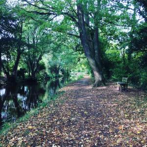 Φυσικό τοπίο κοντά σε αυτό το διαμέρισμα