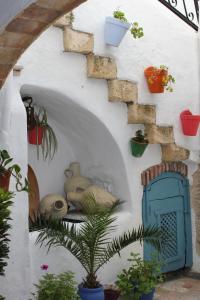 Fotografia z galérie ubytovania Vivienda Turística de Alojamiento Rural Silla Vieja v destinácii Vejer de la Frontera