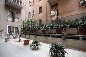 ローマにあるMC ゲスト ハウスの鉢植えの中庭
