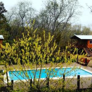 a swimming pool with yellow flowers next to a house at Cabañas Sidharta in Tigre