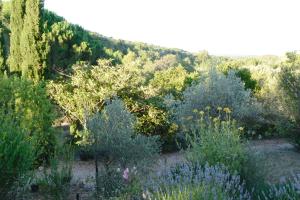 Φωτογραφία από το άλμπουμ του La Briardière σε Camélas