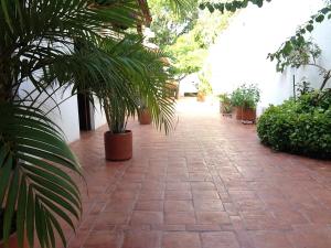 a courtyard with potted plants on a brick walkway at Casa Verde Albarrada in Mompos