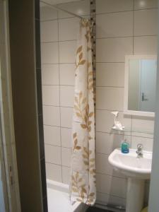 a bathroom with a shower curtain and a sink at Maison Saint Louis in Paray-le-Monial