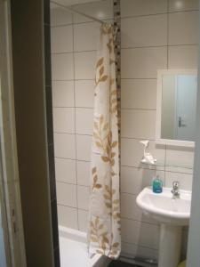 a bathroom with a shower curtain and a sink at Maison Saint Louis in Paray-le-Monial +30 photos
