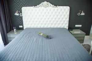 サトゥ・マーレにあるPensiunea Primaveriiの青いマットレスと白いベッドフレームが備わる客室です。