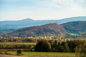 Příroda nedaleko apartmánu