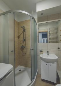 W łazience znajduje się prysznic i umywalka. w obiekcie Apartament Grosik w mieście Duszniki Zdrój