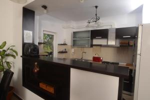 a kitchen with a black counter and a refrigerator at Vila Old Cars in Cristian
