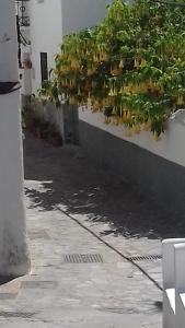Fotografia z galérie ubytovania Casa Antoñita v destinácii Parauta