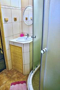 y baño pequeño con lavabo y ducha. en Penzion Radošov ubytování v soukromí, en Kysibl Kyselka