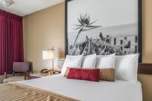a bed in a hotel room with a picture on the wall at Kings Inn Anaheim at The Park & Convention Center in Anaheim