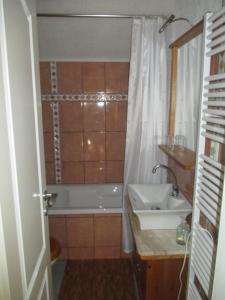 ein Badezimmer mit einer Badewanne und einem Waschbecken in der Unterkunft Stadtoase in Meißen
