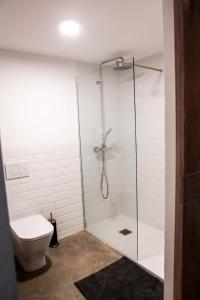 バレンシアにあるApartment Triadorのバスルーム(ガラス張りのシャワー、トイレ付)