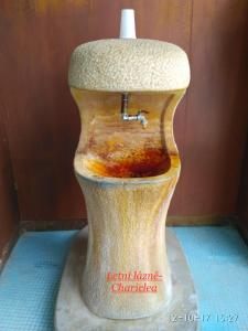 Photo de la galerie de l'établissement Homestay Poděbrady, à Poděbrady 54 autres photos