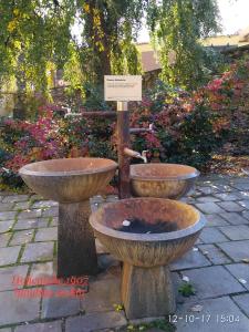 Photo de la galerie de l'établissement Homestay Poděbrady, à Poděbrady