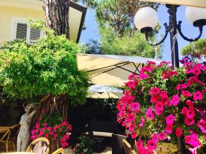 Aed väljaspool majutusasutust JR Resort Logos Forte dei Marmi