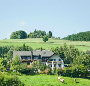 Naturlandschaft in der Nähe der Ferienwohnung